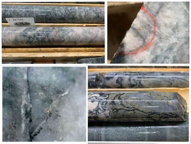 2020 04 28 NR Fig1 Vancouver, B.C., April 28, 2020. FALCON GOLD CORP. (FG:TSX-V), (3FA:GR); ("Falcon" or “the Company") is pleased to announce it has completed 3 drill holes totalling 468 metres along the Central Canada Mineralized Zone, a continuation of the initial mineralized zone defined by Terra-X in 2012. The 3 holes successfully intersected a highly altered felsic intrusive rock unit with significant pyrite, arsenopyrite, lead telluride, and visible gold mineralization. A summary of Falcon’s examination is included below: