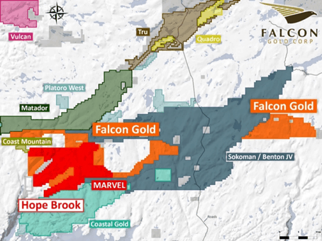 FALCON ACQUIRES STRATEGIC LAND POSITION IN HOPE BROOK, ADJACENT TO FIRST MINING, SOKOMAN AND MARVEL DISCOVERY Falcon Gold Corp FALCON ACQUIRES STRATEGIC LAND POSITION IN HOPE BROOK, ADJACENT TO FIRST MINING, SOKOMAN AND MARVEL DISCOVERY Vancouver, B.C., July 13, 2021. FALCON GOLD CORP. (FG: TSX-V), (3FA: GR), (FGLDF: OTC PINKS); ("Falcon" or the “Company") is pleased to announce it has acquired a significant land position within the Hope Brook Area, Newfoundland. Falcon has now staked a total of 996 claims (24,900 hectares) which are strategically located and contiguous to First Mining Gold, Sokoman Minerals-Benton joint venture, and Marvel Discovery Corp (Figure 1).
