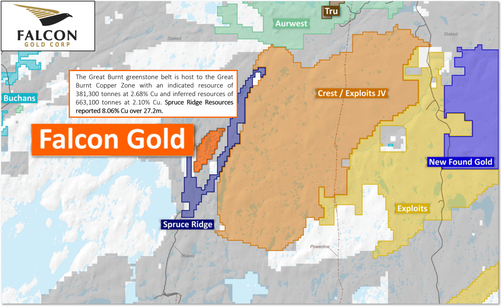 FALCON GOLD ACQUIRES GROUND IN GREAT BURNT COPPER-GOLD REGION, CENTRAL NEWFOUNDLAND BELT Falcon Gold Corp FALCON GOLD ACQUIRES GROUND IN GREAT BURNT COPPER-GOLD REGION, CENTRAL NEWFOUNDLAND BELT Vancouver, B.C., September 9, 2021. FALCON GOLD CORP. (FG: TSX-V), (3FA: GR), (FGLDF: OTCQB); ("Falcon" or the “Company”) is pleased to announce it has acquired through staking 91 claims (the “Property”) totaling 2,275 hectares located in the Great Burnt base-metal rich greenstone belt in central Newfoundland (Figure 1). The Great Burnt greenstone belt is host to the Great Burnt Copper Zone with an indicated resource of 381,300 tonnes at 2.68% Cu and inferred resources of 663,100 tonnes at 2.10% Cu. (https://www.spruceridgeresources.com/great-burnt.php) Recent drilling in 2020 by Spruce Ridge Resources reported 8.06% Cu over 27.2m (TSXV:SHL press release dated March 18, 2021). The Great Burnt greenstone belt also hosts the South Pond A and B copper-gold zones and the End Zone copper prospect within a 14 km mineralized corridor.