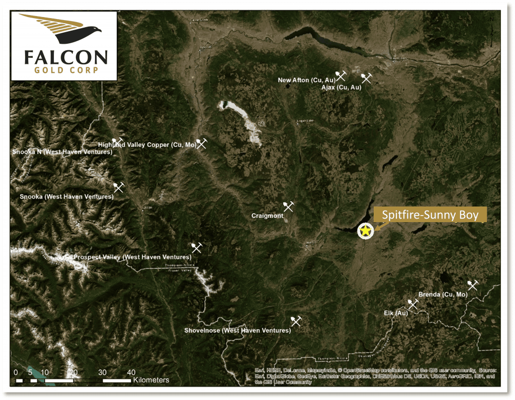 Spitfire & Sunny Boy Claims, Merrit, B.C. Falcon Gold Corp Spitfire & Sunny Boy Claims, Merrit, B.C. Table of selected assay results from the Spitfire & Sunny Boy Claims 2020 sampling program.