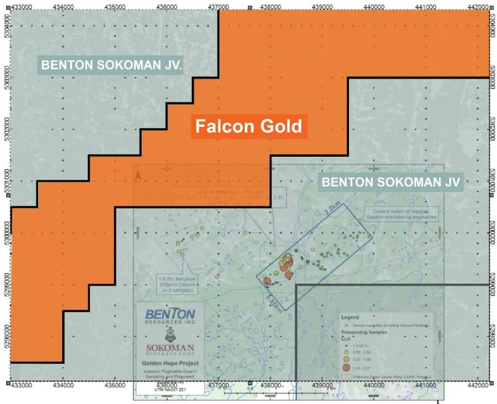 FALCON INITIATES GEOPHYSICAL INTERPRETATION - LITHIUM POTENTIAL ON ADJACENT GROUND TO BENTON-SOKOMAN’S LITHIUM DISCOVERY Falcon Gold Corp FALCON INITIATES GEOPHYSICAL INTERPRETATION - LITHIUM POTENTIAL ON ADJACENT GROUND TO BENTON-SOKOMAN’S LITHIUM DISCOVERY Vancouver, B.C., October 26, 2021. FALCON GOLD CORP. (FG: TSX-V), (3FA: GR), (FGLDF: OTCQB); ("Falcon" or the “Company”) is pleased to announce it has undertaken a preliminary lithostructural interpretation of high-resolution magnetic and radiometric data on its Hope Brook Property. The Hope Brook Property lies contiguous to the Benton-Sokoman spodumene lithium-bearing pegmatite discovery referred to as the “Kraken Pegmatite Swarm” (see Sokoman press release dated October 14, 2021). This pegmatite field measures 2,200 m long by 850 m wide and is open along strike in both directions.
